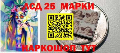 гидропоника Краснознаменск