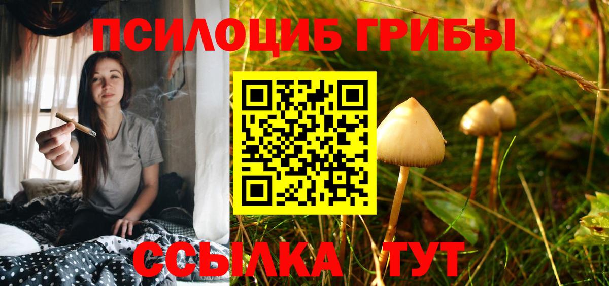 Кохма  Галлюциногенные грибы прущие грибы  Вход с VPN 
